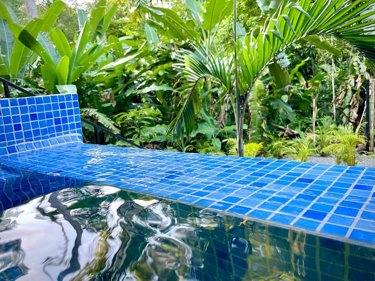 Villa Joeyshe- New Luxury Villa With Pool & Ac Puerto Viejo de Talamanca Exteriör bild